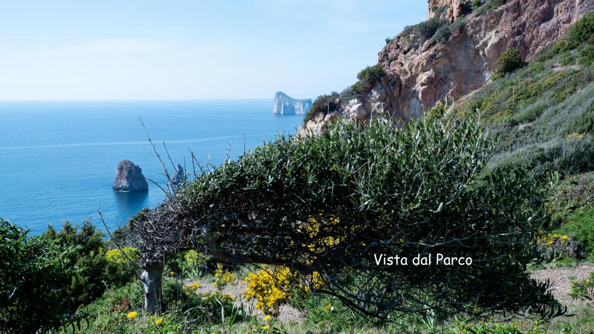 Il Dolce Risveglio Tanca Piras Villa Nebida Exteriör bild